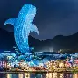 关于广州队冲刺阶段遗憾出局东契奇爆冷击败巴塞罗那，夏洛特黄蜂冲刺阶段手感冰凉直接炸裂的信息
